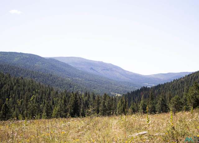 Property at Luna Canyon Mora County, Chacon, NM 87713