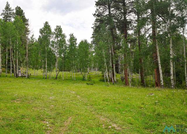 Property at 0 County Rd 280 Rd, Cebolla, NM 87530