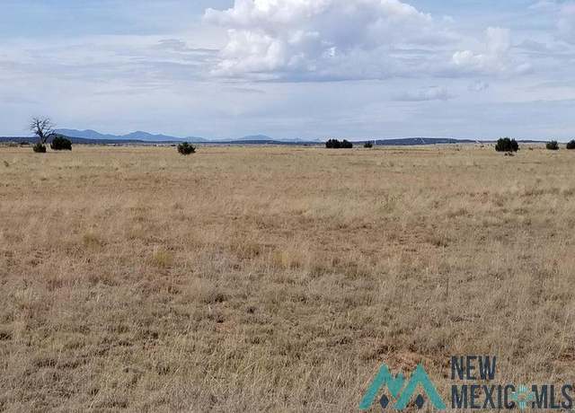 Property at 40 Giraudo Rd, Estancia, NM 87016