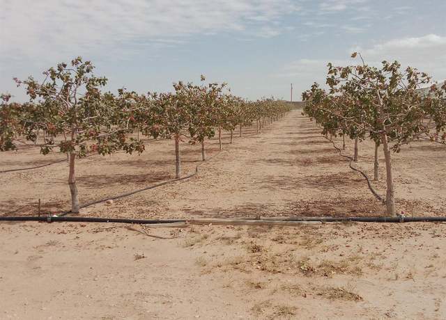 Property at 7074 Kevil Rd, Carlsbad, NM 88220