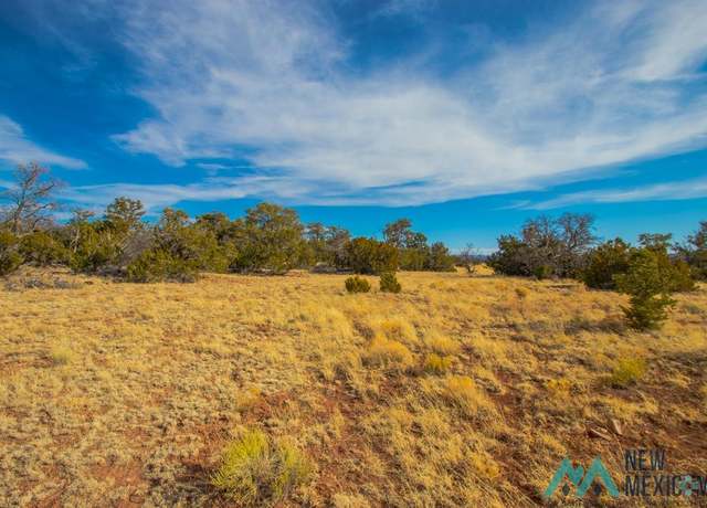 Property at Lot 1 Seewald Ests, Thoreau, NM 87323