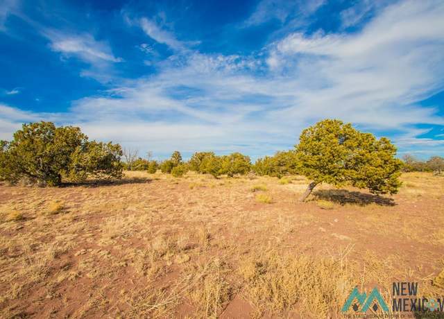 Property at Lot 2 Seewald Ests, Thoreau, NM 87005