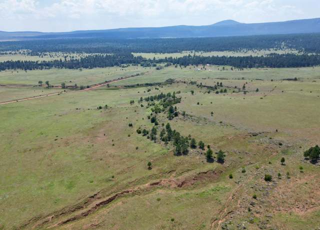 Property at TBD 120 Hwy, Ocate, NM 87734