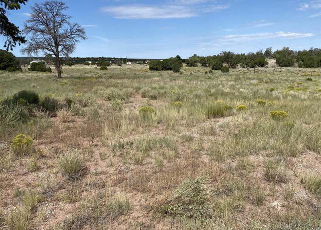 Property at 28 Maverick Rd, Jamestown, NM 87347