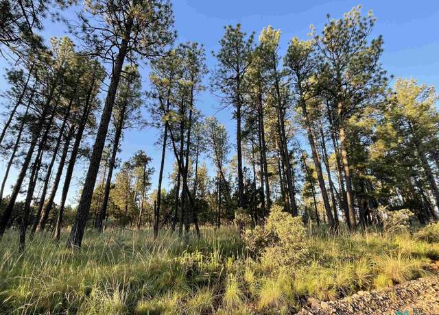 Property at Lot 117 Paradise Dr, Timberon, NM 88350