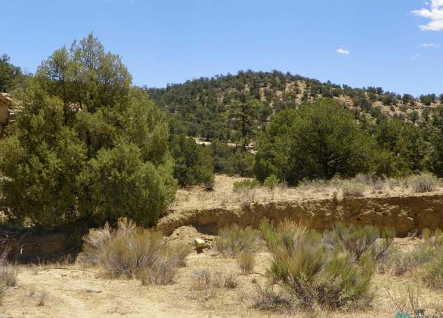 Property at 0000 Coal Rd, Pie Town, NM 87827