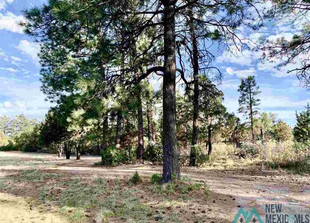 Property at 8 Paradise Dr, Timberon, NM 88350