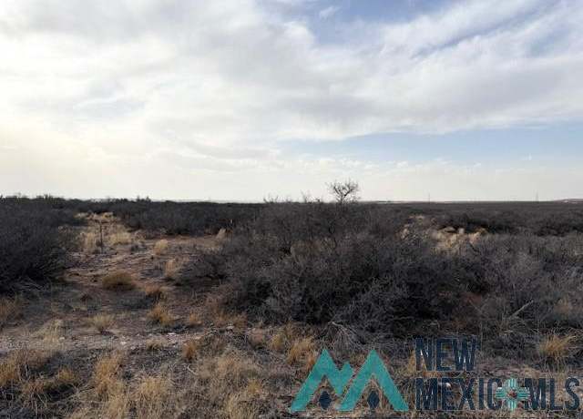 Property at S&E of 499 George Shoup Relief Rte, Carlsbad, NM 88220