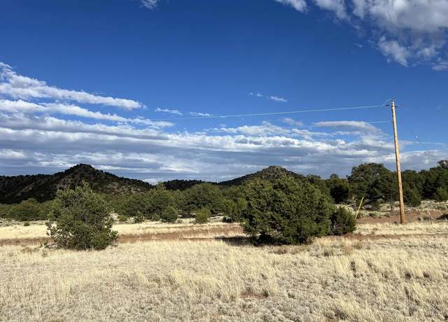 Property at Pinon Ridge Rd, Pie Town, NM 87827