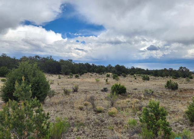 Property at 14 Conifer Rd, Pie Town, NM 87827