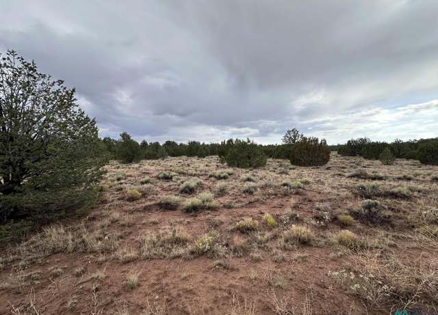 Property at TBD Nm Highway 612 Hwy, Bluewater Lake - South, NM 87323