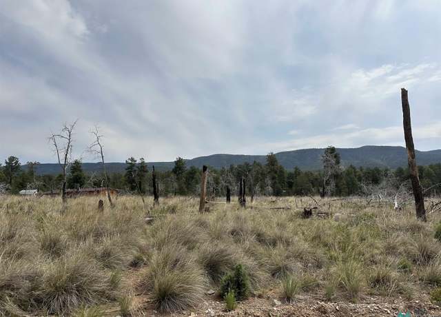 Property at 37 Coshacion Dr, Timberon, NM 88350