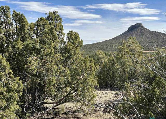 Property at 5.045 acres Frontage Road 2116 Rd, Serafina, NM 87569