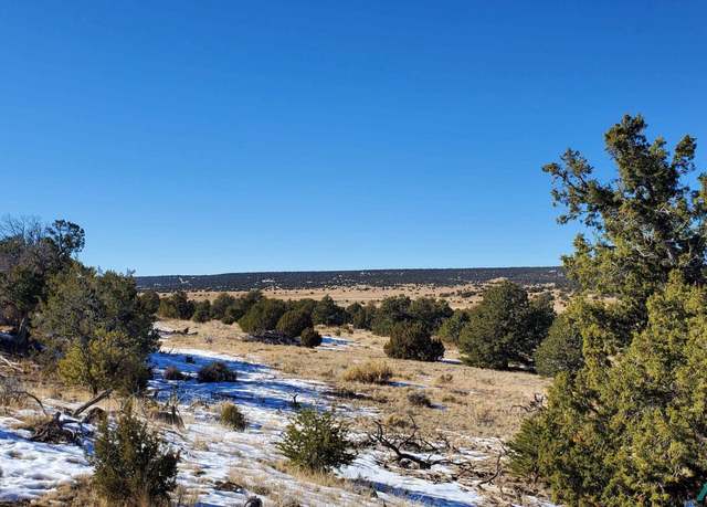 Property at Indian Maiden Ct, Quemado, NM 87829