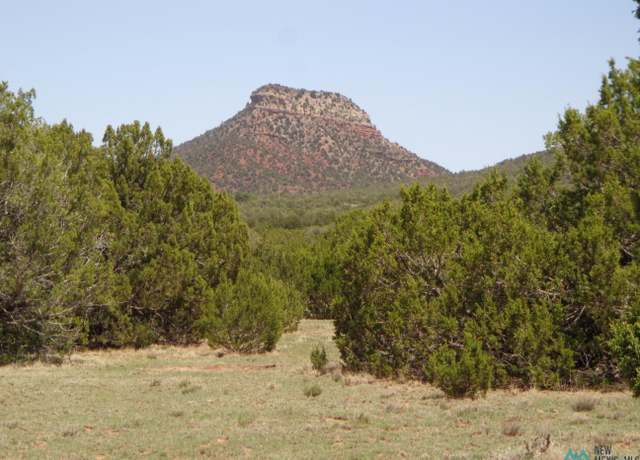 Property at Tr 2B Camino Del Sol Rd, Bernal, NM 87569