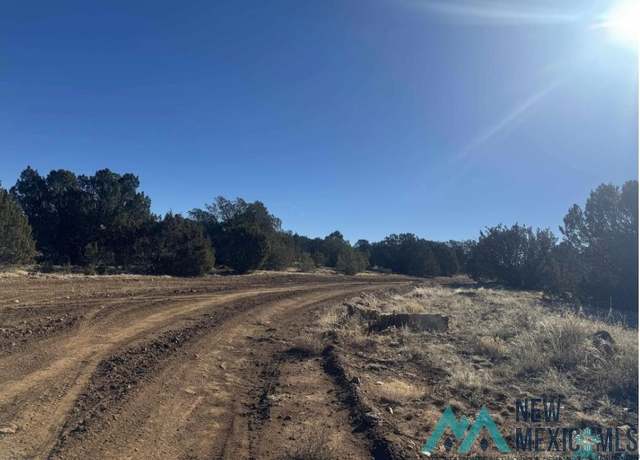 Property at 320+/- acres Apache Mesa Ave, Los Montoyas, NM 87701