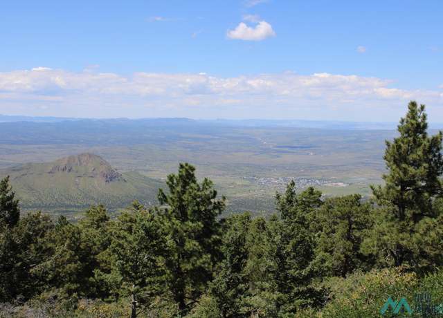 Property at Magdalena Mt Magdalena Mountain Top, Magdalena, NM 87825