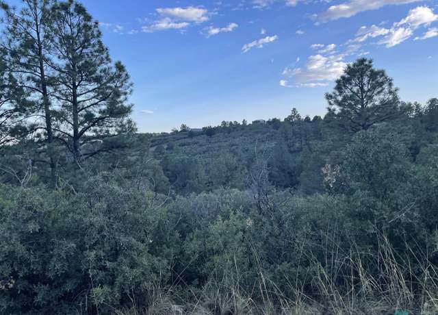 Property at Lot 2 Movac Loop, Timberon, NM 88350