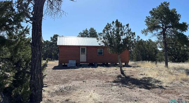 Photo of Indian Rd, Fence Lake, NM 87315