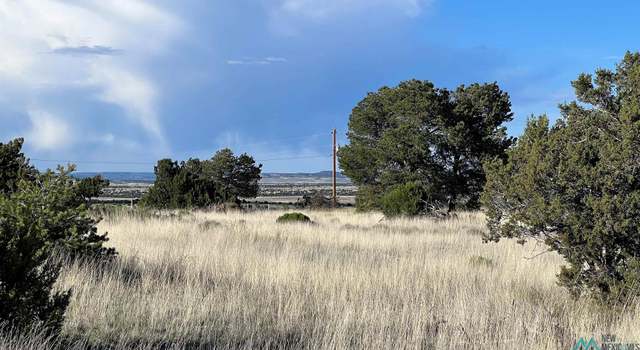 Photo of County Road 35d Rd, Fence Lake, NM 87315