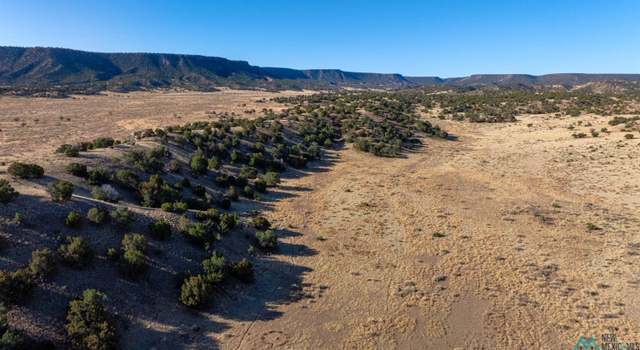Photo of Bar A Bar Ranch N 104 Orona Rd, Quemado, NM 87829