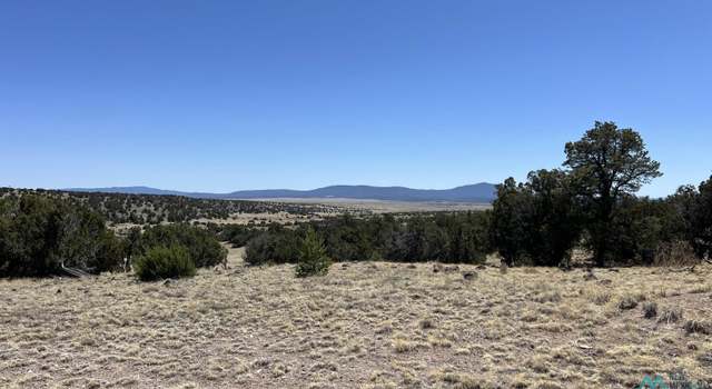 Photo of 47 Golden Horseshoe Rd, Quemado, NM 87829