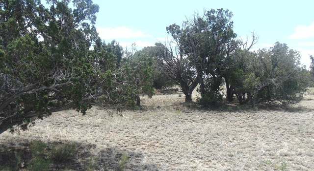 Photo of Skyview Dr, Fence Lake, NM 87315