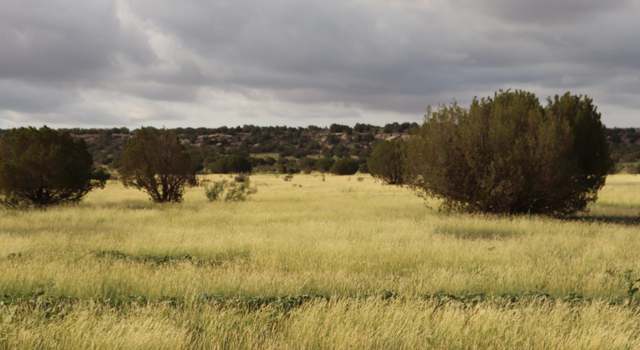 Photo of 2600 Pajarito Rd, Newkirk, NM 88435