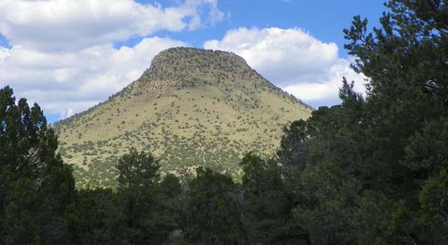 Photo of 85 Northern Trl, Datil, NM 87821