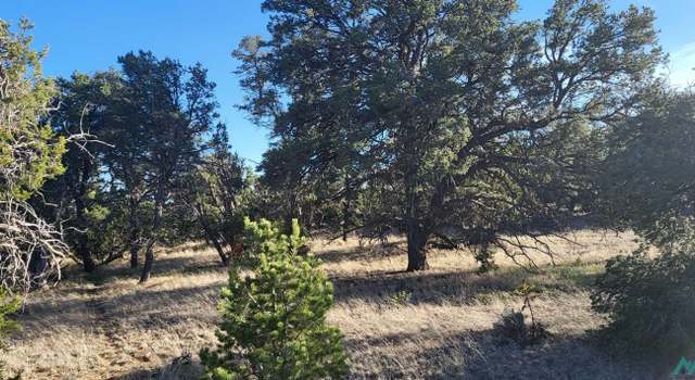 Photo of 5 Misty Ln, Ramah, NM 87321