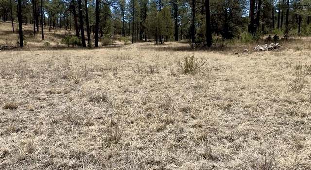 Photo of Lot7 Surcingle Ave, Timberon, NM 88350