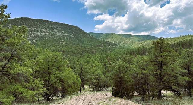 Photo of Elk Haven Forest Road 234, Magdalena, NM 87825