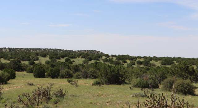 Photo of 122 County Road B001 Rd, Mountainair, NM 87036