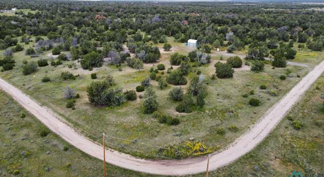 Photo of 63 Indian Rd, Fence Lake, NM 87315