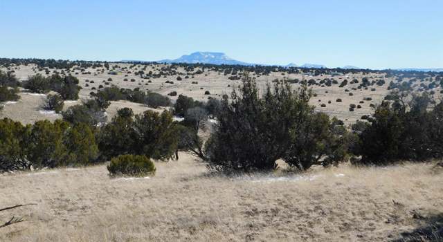 Photo of 69 Bronco Blvd, Quemado, NM 87829