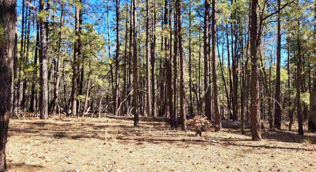 Photo of Lot 34B Mcgaffey Pnes, Mcgaffey, NM 87316