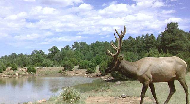 Photo of TBD-2 Cr 51 Rd, Trujillo, NM 87701