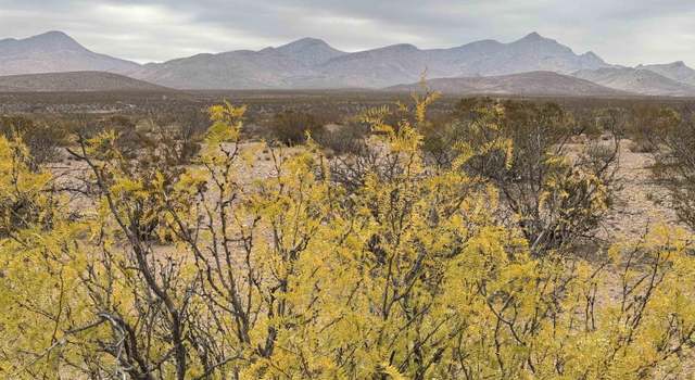Photo of 46 Norrick Rd, Rodeo, NM 88056