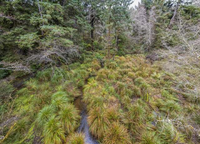Property at TL#1000 NE Oregon St, Yachats, OR 97498