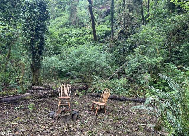 Property at T/L 131031 Risley Creek Rd, Tidewater, OR 97390
