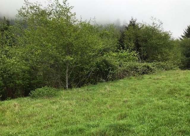 Property at 53000 Blk South Beach Road TL 219, Neskowin, OR 97149