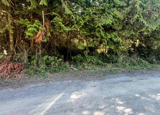 Property at TL-4900 SW Kamela Pl, Waldport, OR 97394