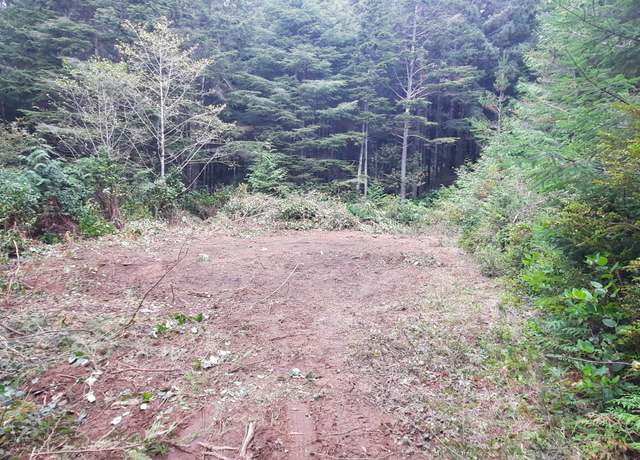 Property at TL2600 Newton Pl, Waldport, OR 97394