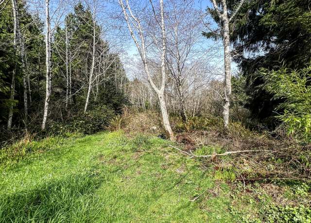 Property at TL 3000 SE Lundy Ln, Waldport, OR 97394