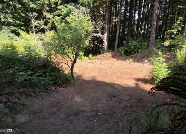 Property at TL 113 Foothills Ln, Yachats, OR 97498