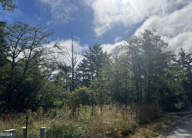 Property at 5500 Tyee Loop Lot 1, Neskowin, OR 97149