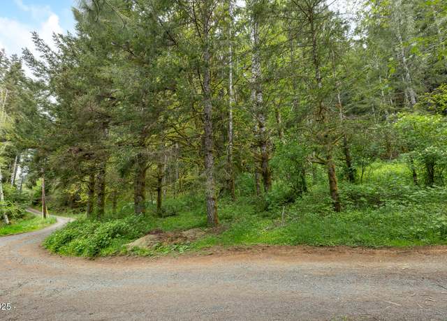 Property at T/L 1000 N New Bridge Rd, Otis, OR 97368
