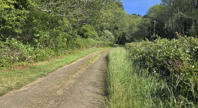 Photo of TL 500 Sandlake Rd, Cloverdale, OR 97112