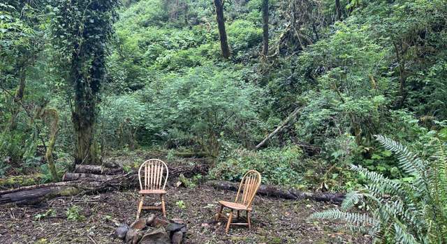 Photo of T/L 131031 Risley Creek Rd, Tidewater, OR 97390