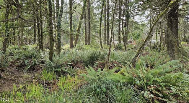 Photo of TL 1300 NE Idaho St, Yachats, OR 97498